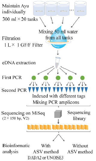 アユハプロタイプ実験概念図